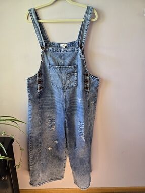 ✨ VIBE CHECK: The Ultimate Cool-Girl Distressed Overalls! ✨